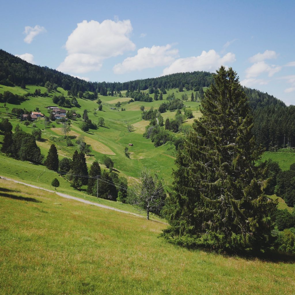 Schwarzwald Aussicht | © Anne Seubert