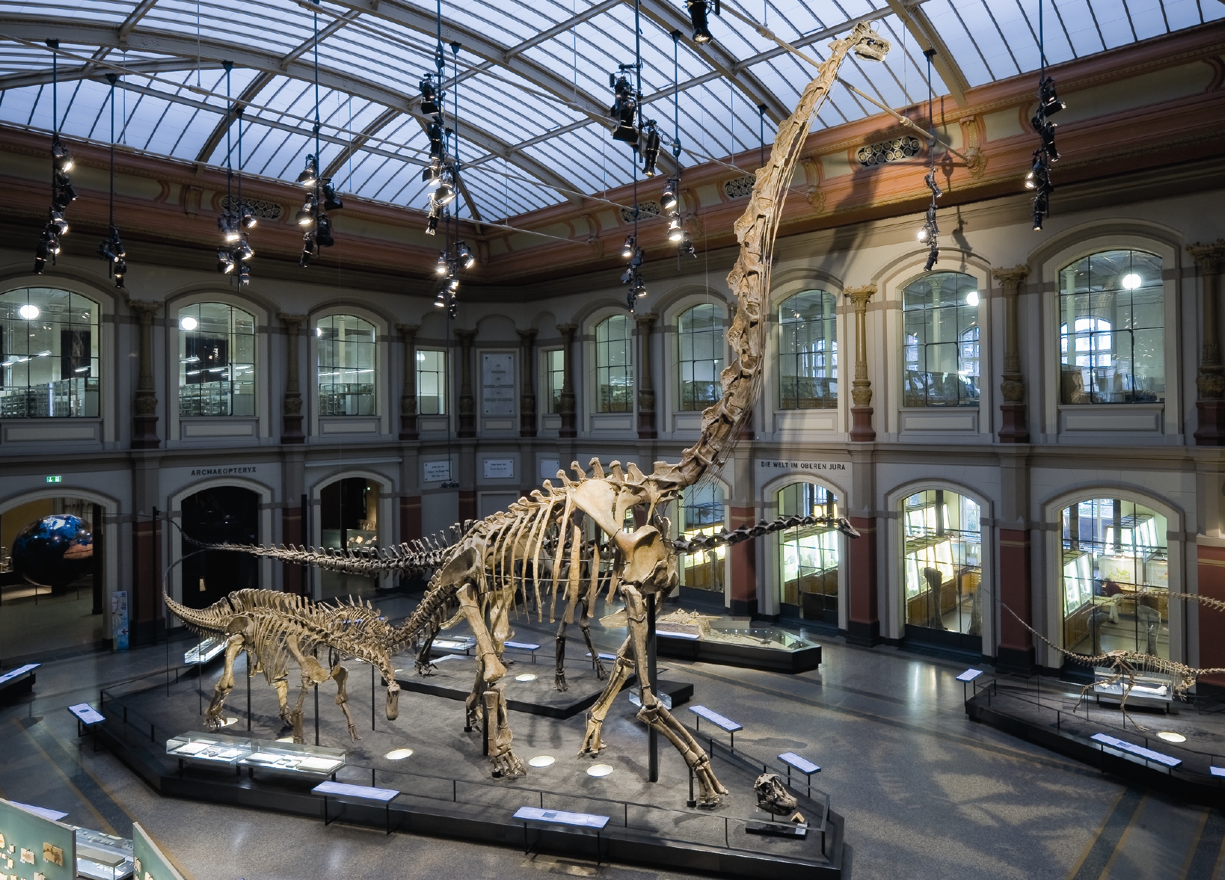 Brachiosaurus_CMYK[1] © Museum für Naturkunde
